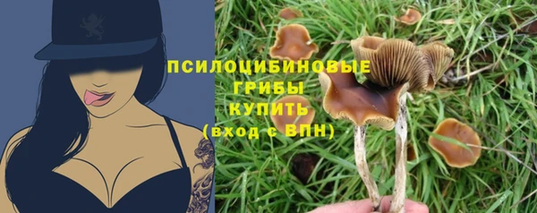 стаф Алексин